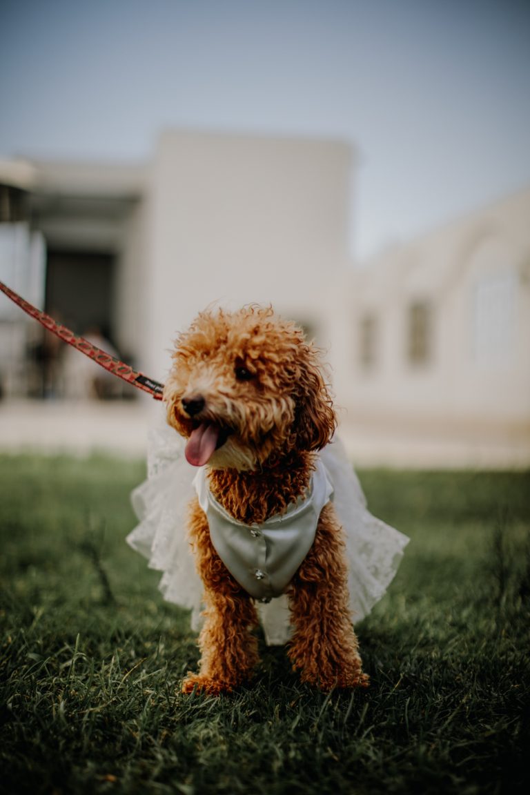 düğünfotoğrafçısı#weddingphotography-33