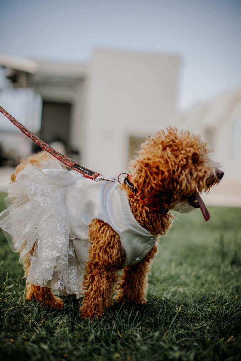 düğünfotoğrafçısı#weddingphotography-34